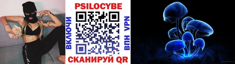 Псилоцибиновые грибы GOLDEN TEACHER  Чистополь 